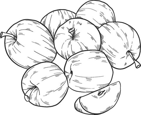 Apples From Apples Coloring Page